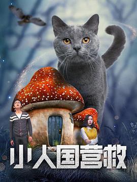 订购会的女友