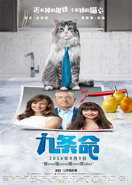 福利视频二区