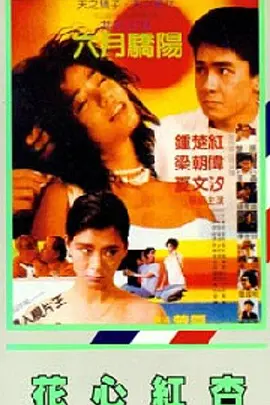 久久网综合