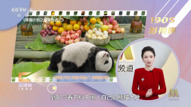 校园h